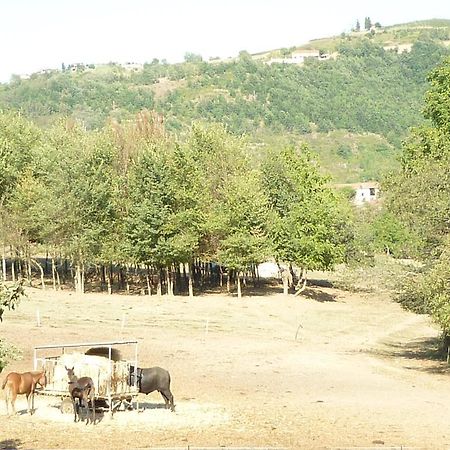 Вилла Il Grappolo In Langa Monastero Bormida Экстерьер фото