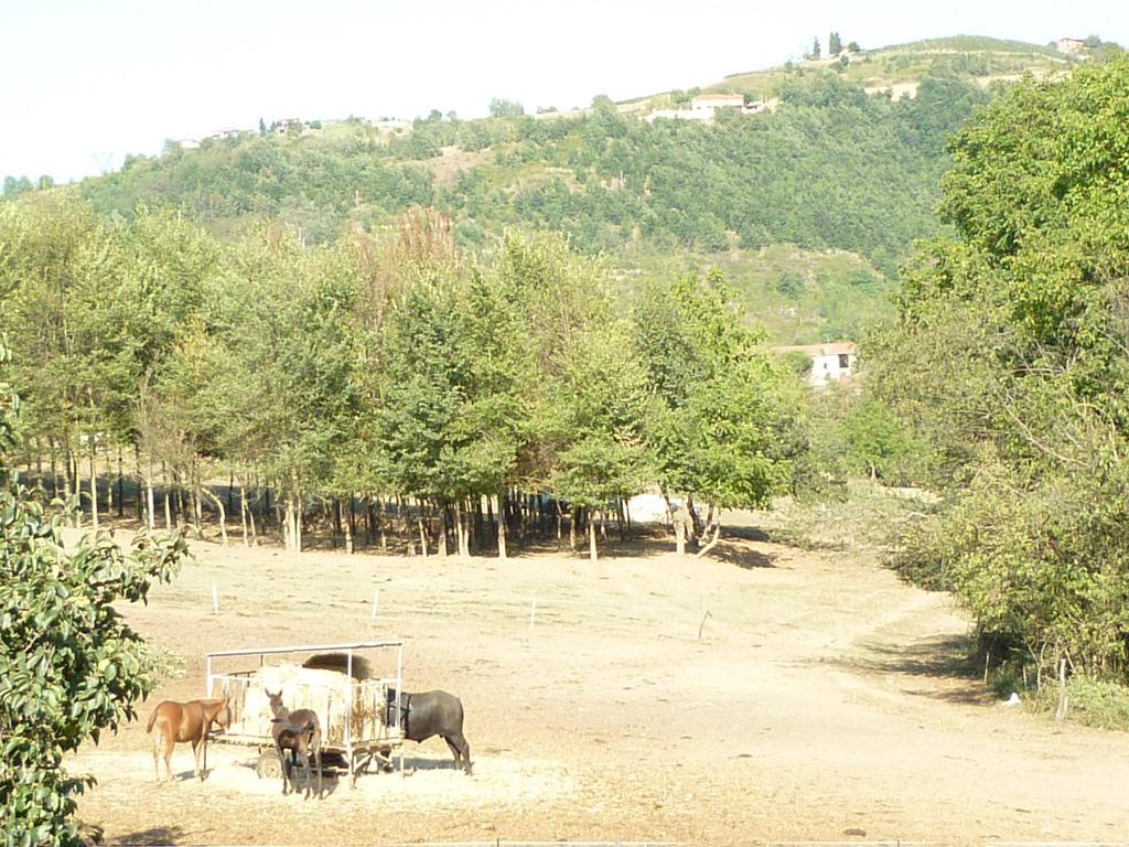 Вилла Il Grappolo In Langa Monastero Bormida Экстерьер фото